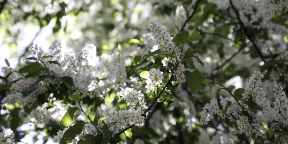 Иллюстративное фото.