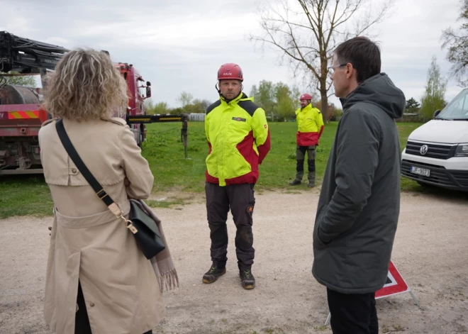 Территория усадьбы Мазъюмправа обзавелась собственной елкой.