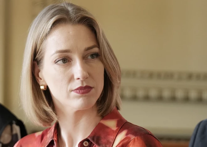 Kultūras ministrei Agnesei Lācei pērn mazliet pietrūcis, lai nopelnītu 100 000 eiro