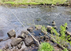 Zemā elektrības cena iznīcina Braslas nēģus, sadedzina Ādažu senioru sarūpēto malku, Liepājā apskādē liepas: kriminālā province