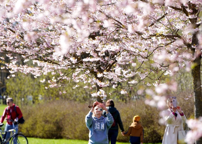 Jaunu iespēju laiks: kas zodiaka zīmes sagaida maijā