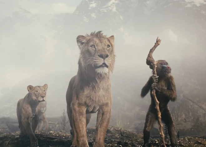 Nedēļas jaunumi "Tet TV+" - lauvu draudzība, britu spiegu trilleris un amerikāņu krimināldrāma