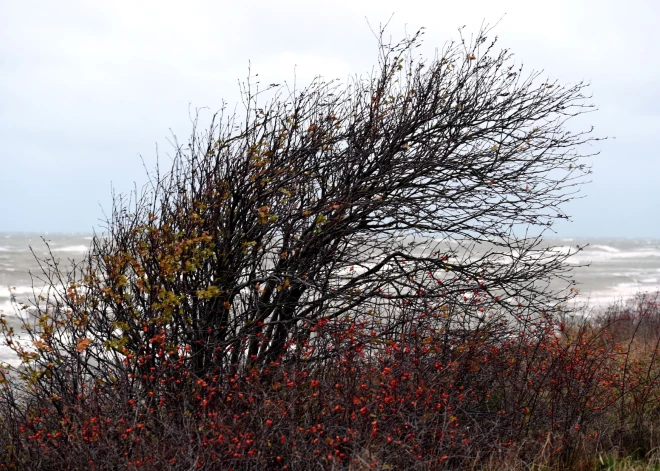 Latvijā gaidāma auksta diena