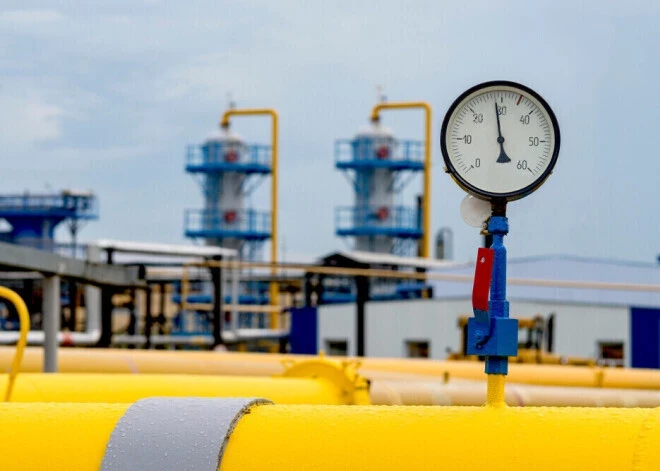 Министр энергетики Литвы уверяет - полный отказ от российского газа почти не скажется на ценах