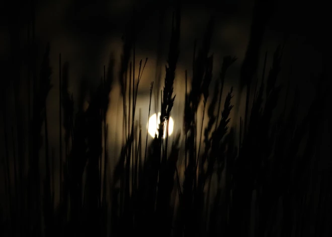 Uz Ventspils šosejas smagi cietusī Rēzija cenšas adaptēties jaunajai realitātei