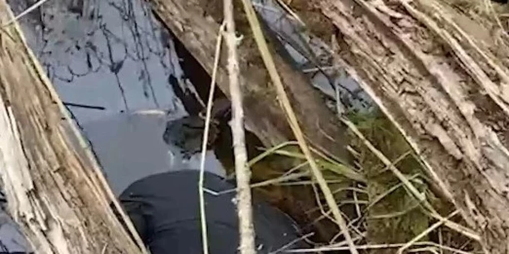 Тело нашли в воде.