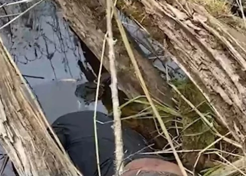 Тело нашли в воде.