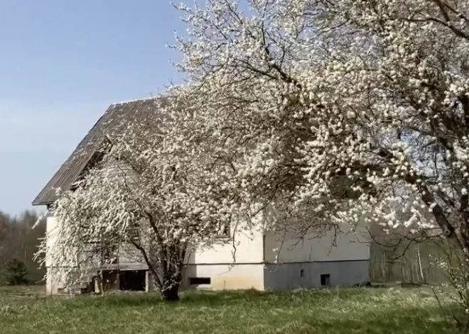 VIDEO: pamests ciems Latvijā turpina piesaistīt ziņkārīgos