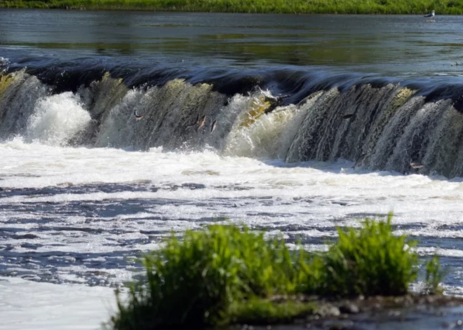 Aprīlis Latvijā bijis 1,3 grādus siltāks par normu