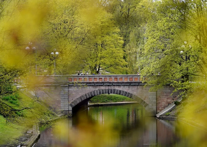 Четверг будет прохладным, с кратковременным снегом