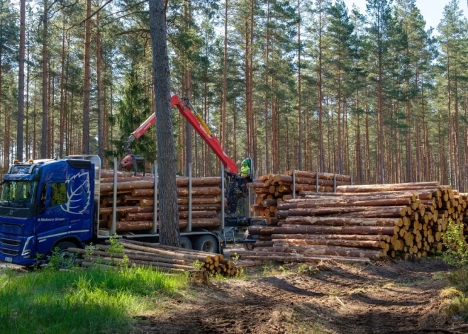 Koku ceļš: kā notiek kokmateriālu pārvadājumi