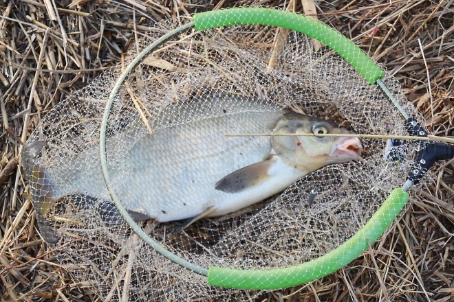 Rakstniece Maija Pohodņeva makšķerē