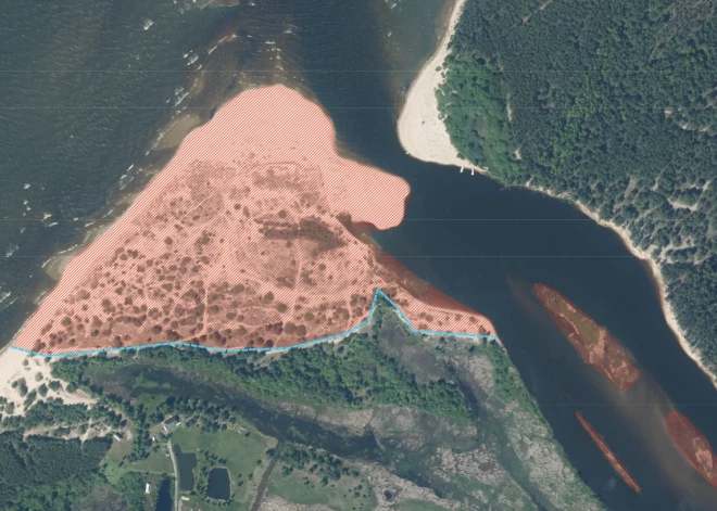 Piekrastes putnu ligzdošanas laikā apmeklētājiem tiks slēgta Gaujas grīva