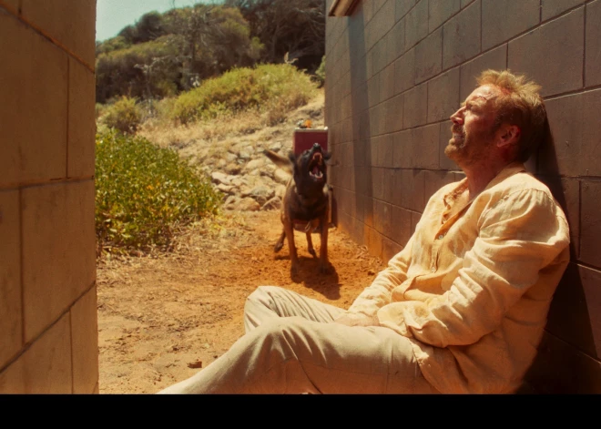 FOTO: Austrālijas pludmale, Nikolass Keidžs un nokaitēta atmosfēra trillerī Sēfotājs