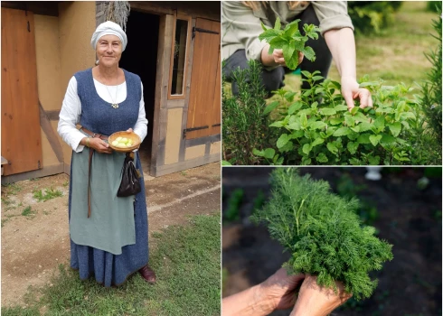 Cēsu viduslaiku pils dārzniece Līga Eglīte. Foto: Raitis Jelēvics, Shutterstock