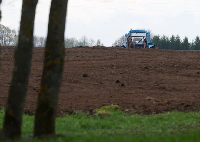 Sezonas laukstrādniekiem ir atvieglots nodokļu režīms, atgādina VID