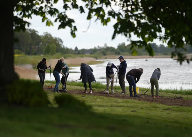 Neatkarības atjaunošanas deklarācijas 35.gadadienai veltītajā pavasara talkā Saeimas Prezidija locekļi, deputāti un darbinieki sestdien, 10.maijā, saposa Jāņa Čakstes dzimtas māju "Auči" apkārtni.