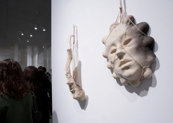 LNMM meklē partnerus Purvīša balvas ilgtspējai