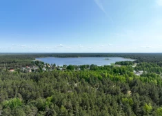 Apturētas jaunas izsoles vēja parku ierīkošanai Latvijas valsts mežos