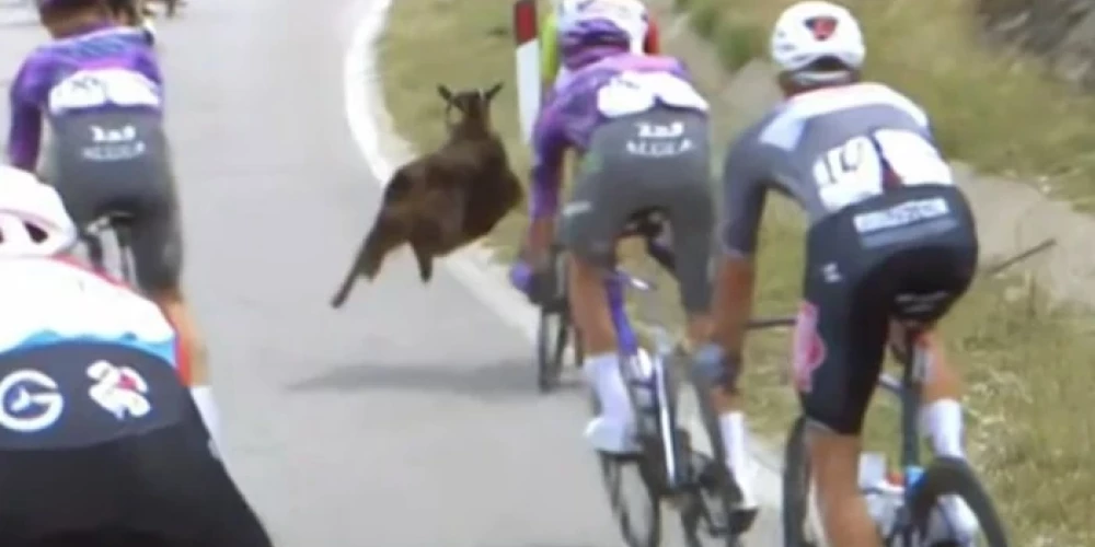 Kaza gandrīz notriec Dionu Smitu "Giro d'Italia" Albānijas posmā (ekrānuzņēmums no video)