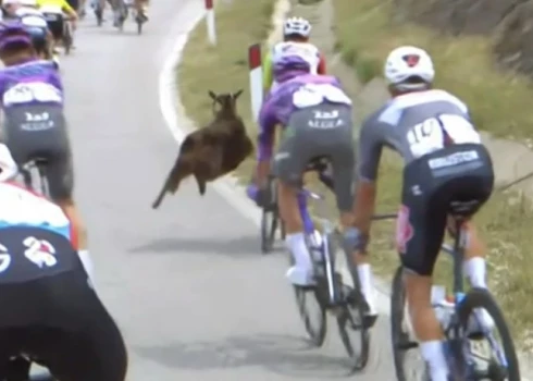 Kaza gandrīz notriec Dionu Smitu "Giro d'Italia" Albānijas posmā (ekrānuzņēmums no video)