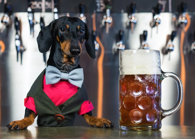 Латвия ждет "алкотуристов": рост акциза в Эстонии принесет пользу нашим торговцам