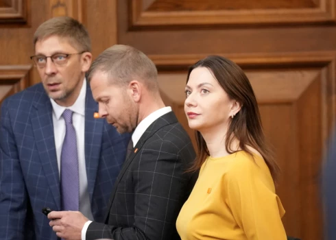 Grozījumus rosina opozīcijas deputāte Svetlana Čulkova ("Stabilitātei").
