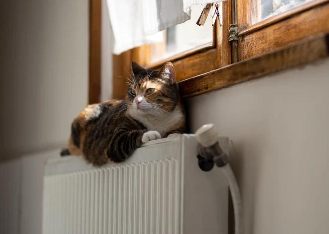 Одним еще холодно, другим - уже жарко: когда же в Риге начнут отключать батареи?