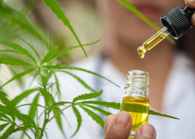 Ģenerālprokurors: marihuānas legalizēšana medicīniskiem mērķiem ir mediķu un politiķu izšķiršanās jautājums