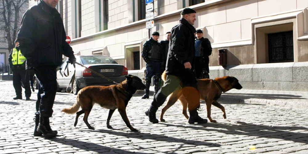 Palīdzību šo nelegālo sūtījumu atklāšanā sniedz arī VID dienesta suņi.