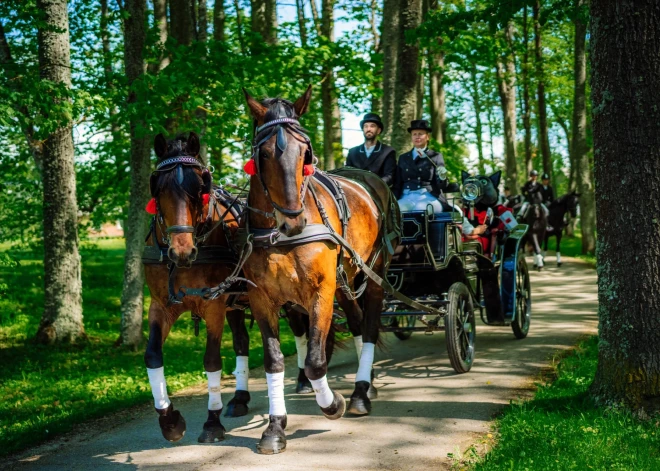 Vislatvijas zirgu parāde atgriežas Balvos
