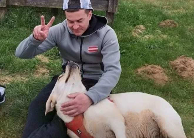 "Из вредности хочет отнять!" В Рижском суде рассматривают необычное дело - бывшие партнеры не могут поделить... лабрадора