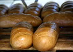 Maize, gaļa, piena produkti – top saraksts ar pārtikas precēm, kuru cenas plānots samazināt