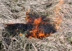 Gribēja pajokoties un tad nodzēst, bet liesmas izplatījās: trīs 12 gadus veci zēni Liepājā aizdedzinājuši kūlu 