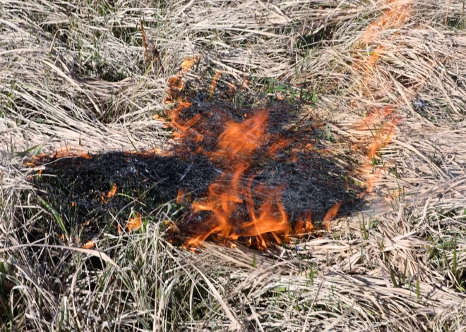 Gribēja pajokoties un tad nodzēst, bet liesmas izplatījās: trīs 12 gadus veci zēni Liepājā aizdedzinājuši kūlu