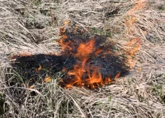 Хотели пошутить и потушить, но не успели: 12-летних мальчиков в Лиепае задержали за поджог травы