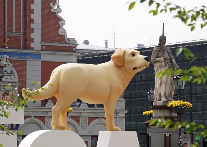 Ginta Zilbaloža veidotās animācijas filmas "Straumes" varoņi Rīgā.