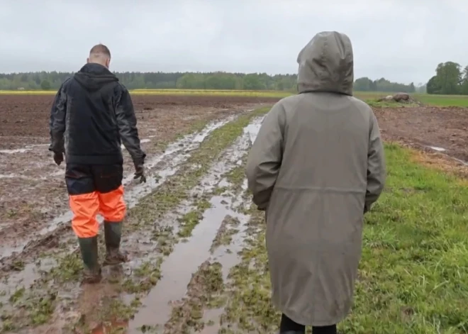 "Ни одного ростка": фермеры теряют надежду на урожай картофеля - осенью цена на него может взлететь