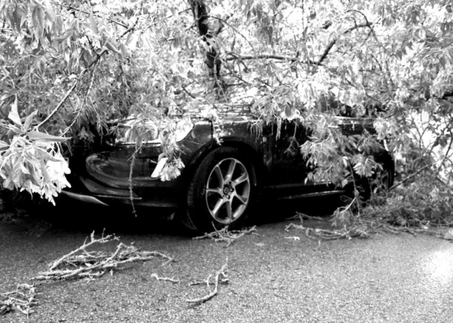 Rīgas centrā uz auto uzgāzies koks - bloķēta satiksme Ausekļa ielā