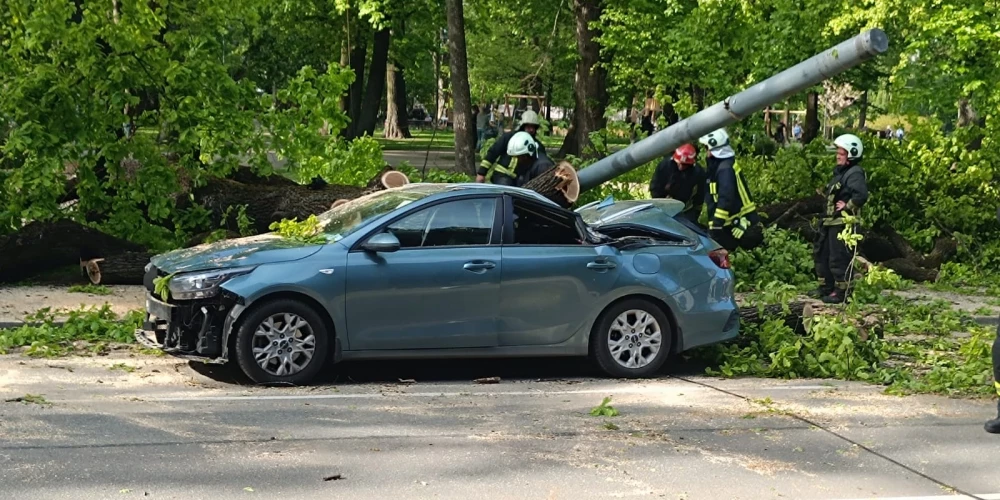Rīgā nogāzies koks pamatīgi apskādējis spēkratu.