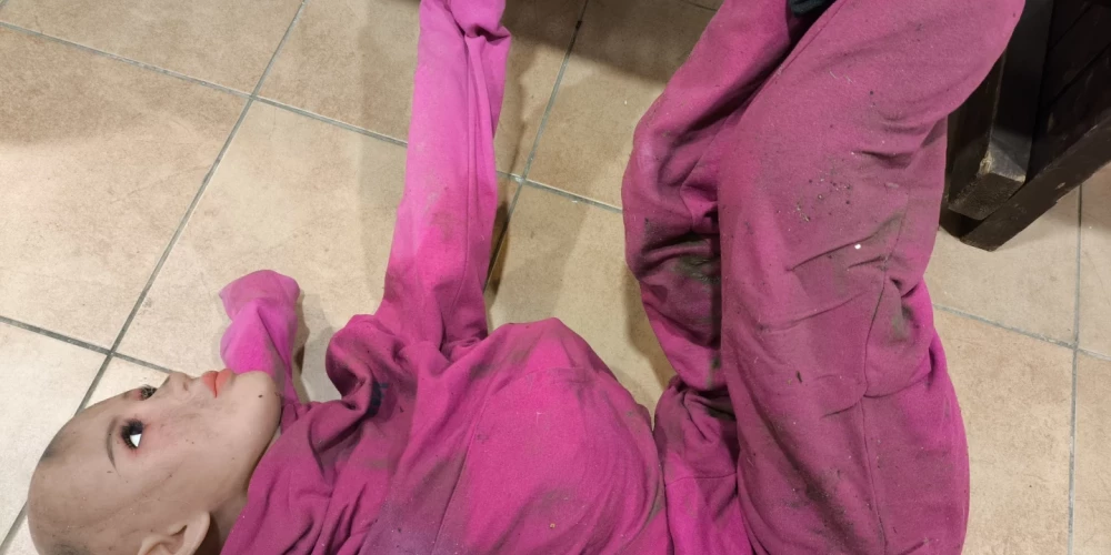 Lelle cer uz saimnieka atgriešanos, pašlaik atrodas Valsts policijas uzraudzībā.