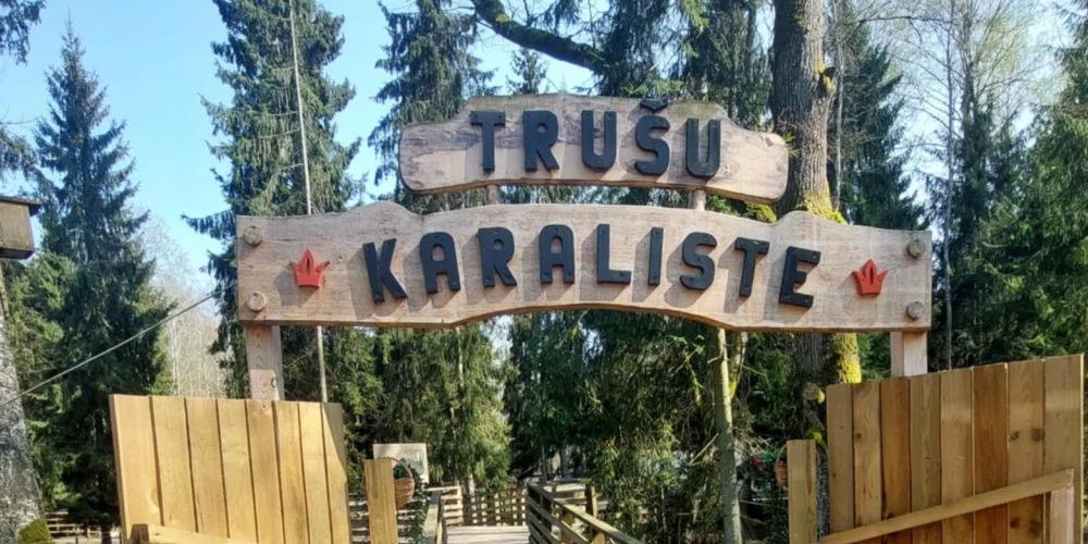 "Tāds pamatīgs šoks visiem bija, jo bijām turpat blakus – viss notika zibenīgi," viņa atceras. Puisēns kliedzis un raudājis no sāpēm un izbīļa, bet "pa ausi gāzās asinis".