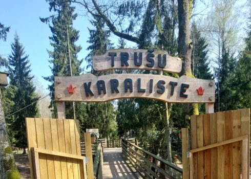 "Tāds pamatīgs šoks visiem bija, jo bijām turpat blakus – viss notika zibenīgi," viņa atceras. Puisēns kliedzis un raudājis no sāpēm un izbīļa, bet "pa ausi gāzās asinis".