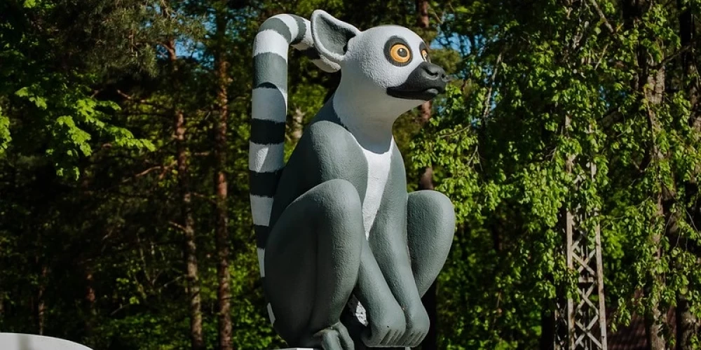 "Straumes" lemurs priecē Mežaparka apmeklētājus.