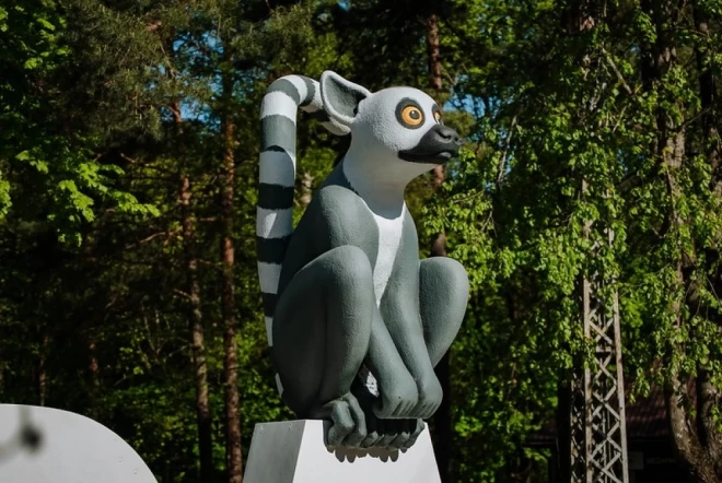"Straumes" lemurs priecē Mežaparka apmeklētājus.