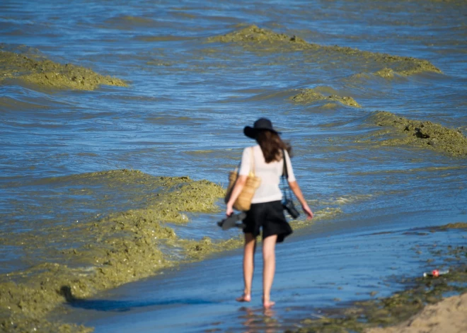 Noslēpumaina viela Baltijas jūrā: zinātnieki atklāj ārkārtīgi negaidītu "piesārņojuma" vaininieku