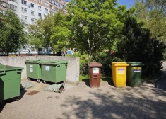 Убийство на стройке в Риге: беззащитных птиц забили лопатой на глазах ребенка