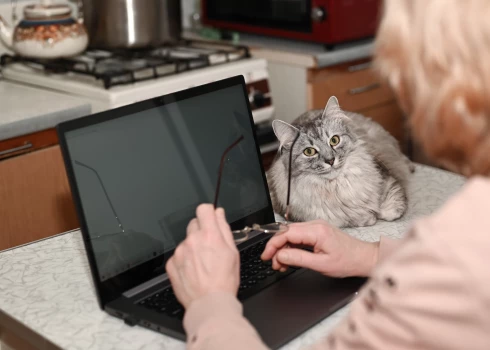 Kovida laiks kļuva par negaidītu pavērsienu, kad miljoniem cilvēku saprata, ka viņi var veiksmīgi strādāt arī ārpus ierastā biroja sienām.