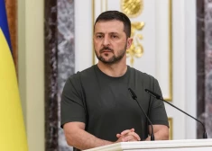 В Киеве заявили, что начали активно готовить встречу Зеленского и Путина
