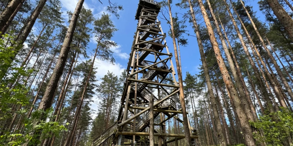 Бумбу калниньш.